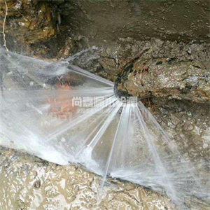 奎文消防管道漏水检测